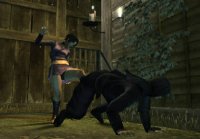 Cкриншот Tenchu: Shadow Assassins, изображение № 247635 - RAWG