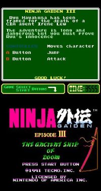 Cкриншот Ninja Gaiden III: The Ancient Ship of Doom (1991), изображение № 737129 - RAWG