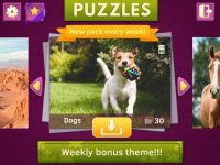 Cкриншот Puppies Jigsaw Puzzles, изображение № 2181169 - RAWG