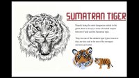 Cкриншот Sumatra: Fate of Yandi - Game + DLC, изображение № 3409190 - RAWG