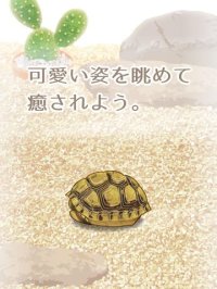 Cкриншот Tortoise Aquarium Free, изображение № 1662249 - RAWG