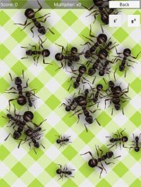 Cкриншот No More Ants (free) - squash, изображение № 1546816 - RAWG