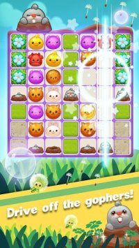 Cкриншот Pet Frenzy, изображение № 1363120 - RAWG