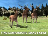 Cкриншот Deer Simulator 2017, изображение № 1625904 - RAWG