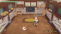 Cкриншот STORY OF SEASONS: A Wonderful Life, изображение № 3543979 - RAWG