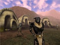 Cкриншот The Elder Scrolls III: Morrowind, изображение № 290009 - RAWG