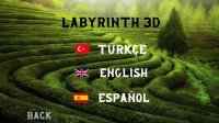 Cкриншот Labyrinth 3D, изображение № 2799859 - RAWG