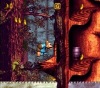 Cкриншот Donkey Kong Country 3: Dixie Kong's Double Trouble, изображение № 822708 - RAWG