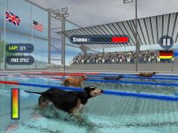 Cкриншот Dog Swimming Race, изображение № 1780107 - RAWG