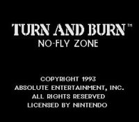 Cкриншот Turn and Burn: No-Fly Zone, изображение № 763149 - RAWG