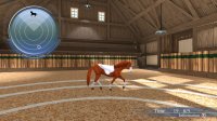 Cкриншот My Riding Stables - Life with Horses, изображение № 1731272 - RAWG