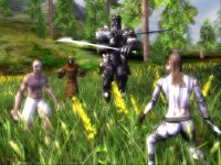 Cкриншот Darkfall Online, изображение № 351469 - RAWG