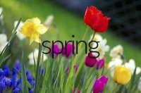 Cкриншот spring 1.0 no code by rsgs, изображение № 2650170 - RAWG