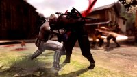 Cкриншот Ninja Gaiden 3, изображение № 564174 - RAWG