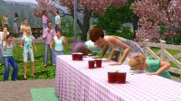 Cкриншот Sims 3: Времена года, The, изображение № 329230 - RAWG