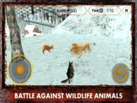 Cкриншот Wild Wolf Attack Simulator 3D – Live life of an alpha and take revenge for your clan, изображение № 919856 - RAWG