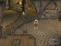 Cкриншот Dungeon Siege 2, изображение № 381339 - RAWG