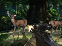 Cкриншот Mystery of Deep Forest Deer Hunting, изображение № 1603753 - RAWG