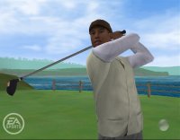 Cкриншот Tiger Woods PGA Tour 06, изображение № 431260 - RAWG