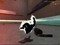 Cкриншот Half-Life 2: Deathmatch, изображение № 98733 - RAWG