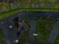 Cкриншот Tomb Raider, изображение № 320429 - RAWG
