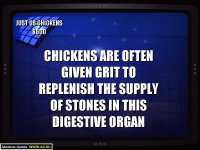 Cкриншот Jeopardy! 2003, изображение № 313878 - RAWG