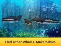 Cкриншот Ocean Whale Simulator: Animal Quest 3D, изображение № 1625938 - RAWG