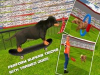 Cкриншот Dog Show Simulator 3D: Train puppies & perform amazing stunts, изображение № 2097717 - RAWG