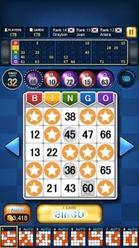 Cкриншот Bingo Master King, изображение № 2092545 - RAWG