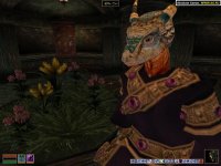 Cкриншот The Elder Scrolls 3: Tribunal, изображение № 292457 - RAWG