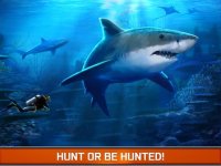 Cкриншот Angry Fish Hunting - Sea Shark Spear-fishing Game, изображение № 917876 - RAWG