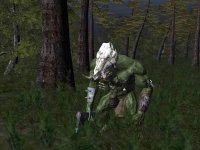 Cкриншот Warhammer Online (2004), изображение № 377413 - RAWG