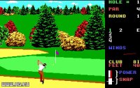 Cкриншот World Class Leader Board Golf, изображение № 337933 - RAWG