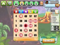 Cкриншот Bingo Casino HD!, изображение № 890326 - RAWG