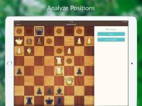 Cкриншот Chess Tactics and Lessons, изображение № 2682053 - RAWG