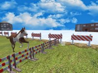 Cкриншот Wild Derby Riding - Horse Race, изображение № 980414 - RAWG