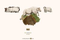 Cкриншот Traditional Sheep Counting Simulator, изображение № 2185908 - RAWG