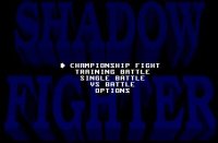Cкриншот Shadow Fighter, изображение № 746631 - RAWG