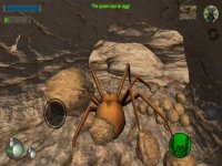 Cкриншот Spider Colony Simulator, изображение № 2174345 - RAWG