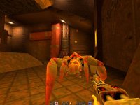 Cкриншот Quake 2 Mission Pack 2: Ground Zero, изображение № 329992 - RAWG