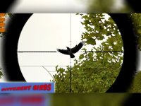 Cкриншот Wild Bird Hunting: Silent Sniper Shooting, изображение № 1832691 - RAWG