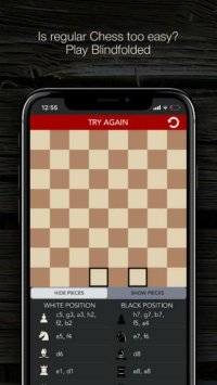 Cкриншот Blindfold Chess Puzzles, изображение № 2479379 - RAWG