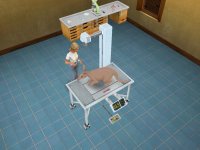 Cкриншот Pet Vet 3D Wild Animal Hospital, изображение № 3297931 - RAWG