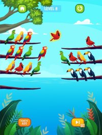 Cкриншот Bird Sort Puzzle, изображение № 3337676 - RAWG