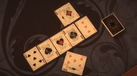 Cкриншот Poker Mega Pack, изображение № 765788 - RAWG