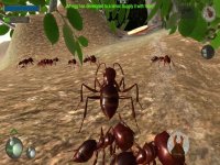 Cкриншот Ant Simulation 3D, изображение № 2174324 - RAWG