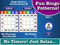 Cкриншот Totally Bingo! by Boy Howdy, изображение № 888743 - RAWG