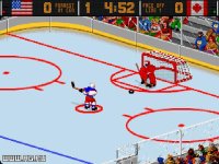 Cкриншот World Hockey '95, изображение № 336541 - RAWG