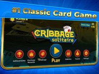 Cкриншот Cribbage Solitaire Challenge, изображение № 2341704 - RAWG