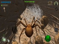 Cкриншот Spider Colony Simulator, изображение № 2174346 - RAWG